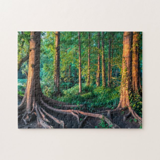 Forest in Summer Jigsaw Puzzle (Horizontal)