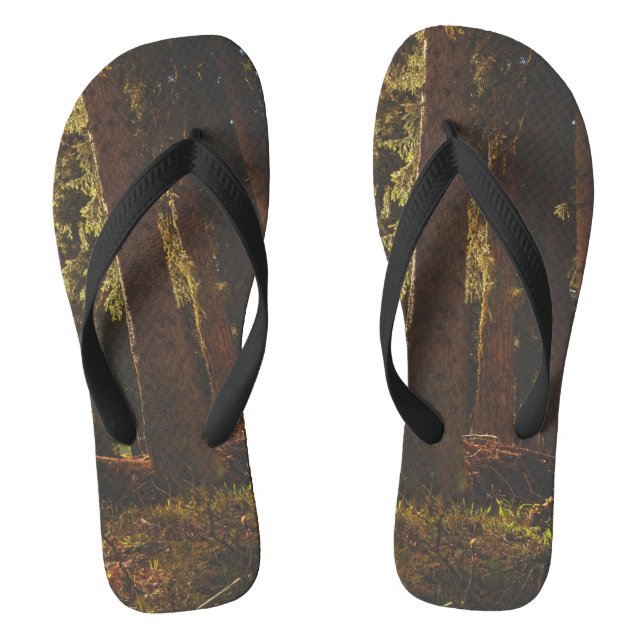 Forest Jandals (Footbed)