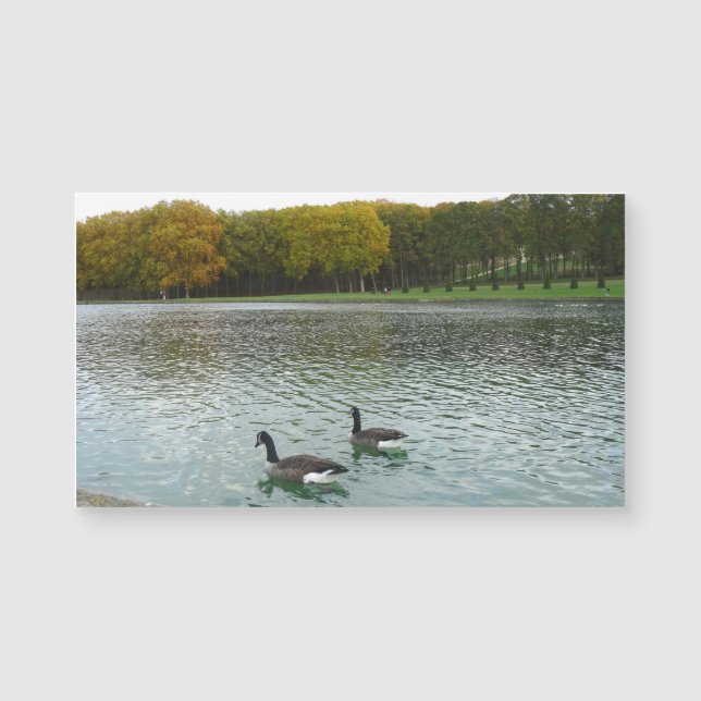 Forest Lake . (Front)