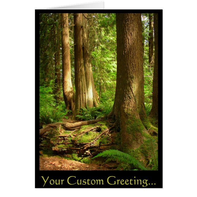 Forest Landscape Blank Card Beautiful Print Cards (Front)