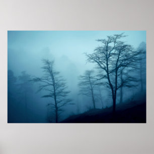 Forest Landscape Meditation Serene Calm Poster