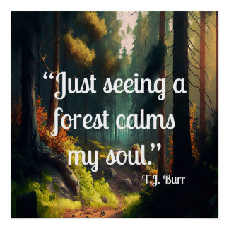 Forest Landscape  Poster