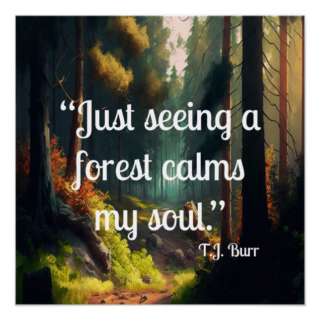 Forest Landscape  Poster (Front)