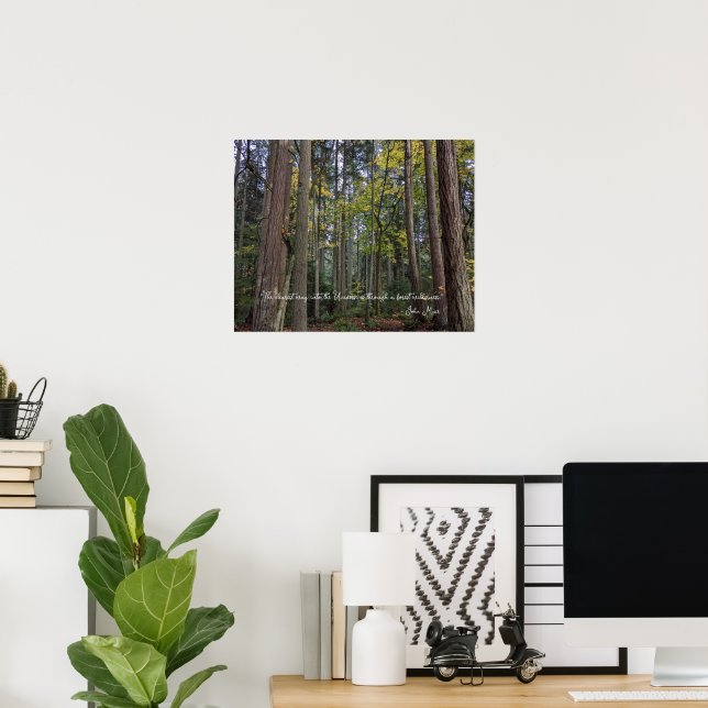 Forest Landscape w/John Muir Quote Poster (Home Office)