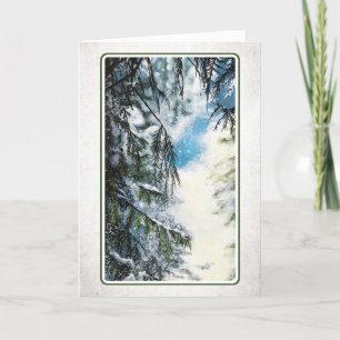 Forest Light Christmas Card