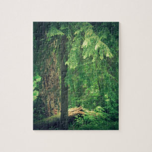 Forest Light Jigsaw Puzzle