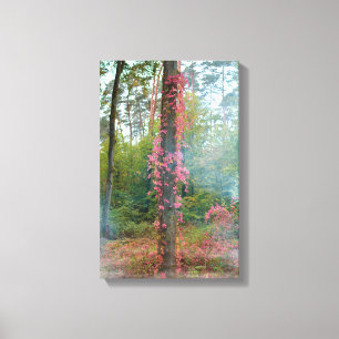 Forest mood - canvas print