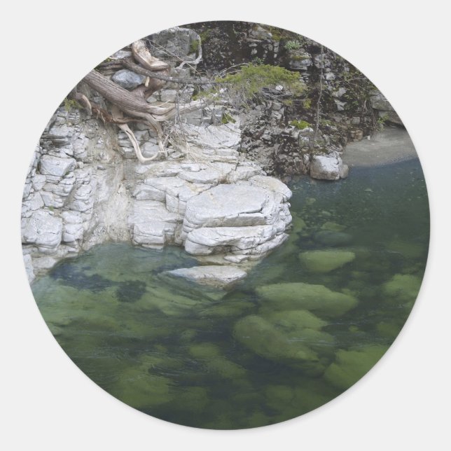 FOREST Motivational Stickers (Front)