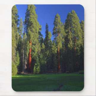 Forest mousepad