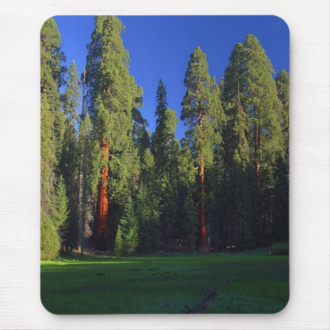 Forest mousepad (Front)