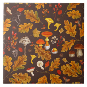 Forest mushrooms and autumn flora on brown tile