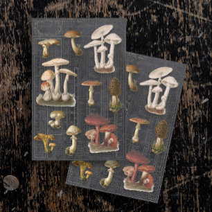 Forest Mushrooms Cottage Black Ephemera Decoupage Tissue Paper