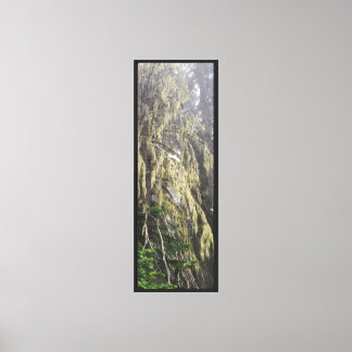 Forest Nature Canvas Print