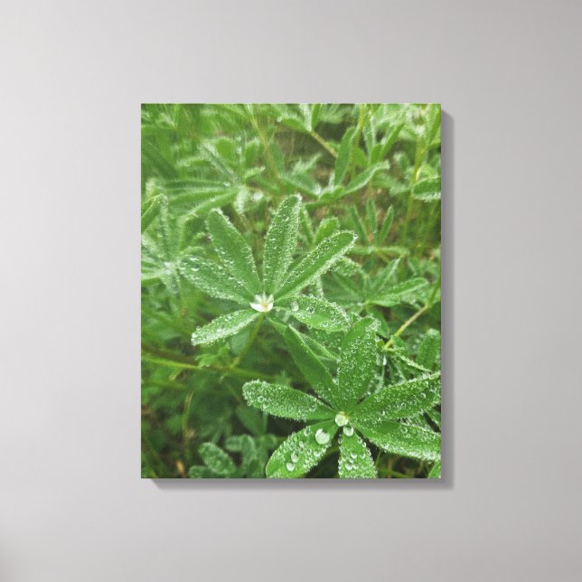 Forest Nature Canvas Print (Front)