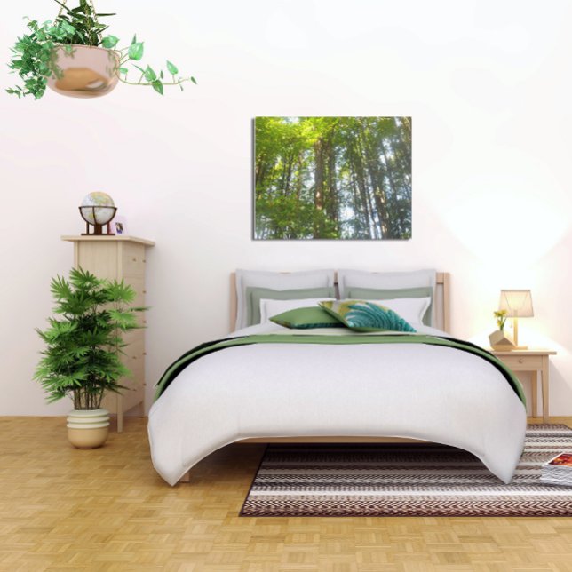 Forest nature photo canvas print (Creator Uploaded)