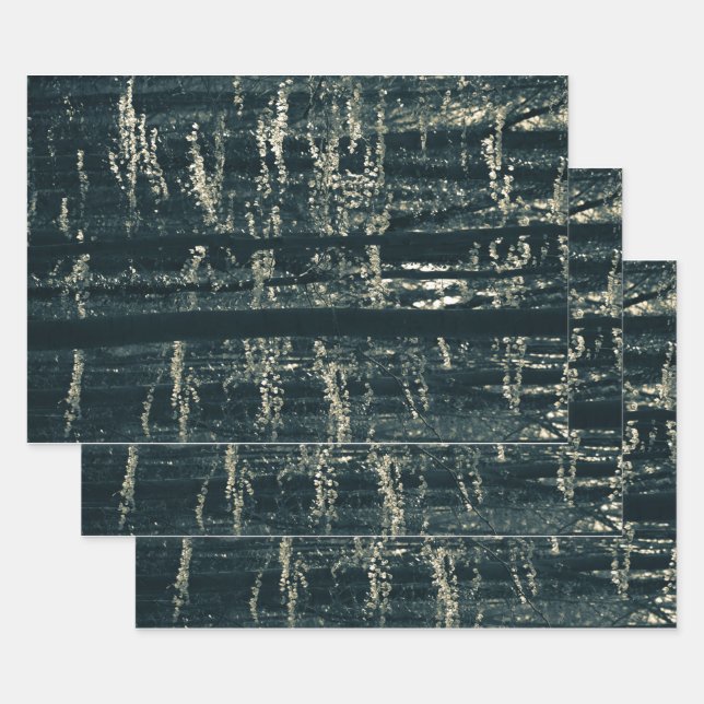 Forest Nature Photo Wrapping Paper Sheets (Set)