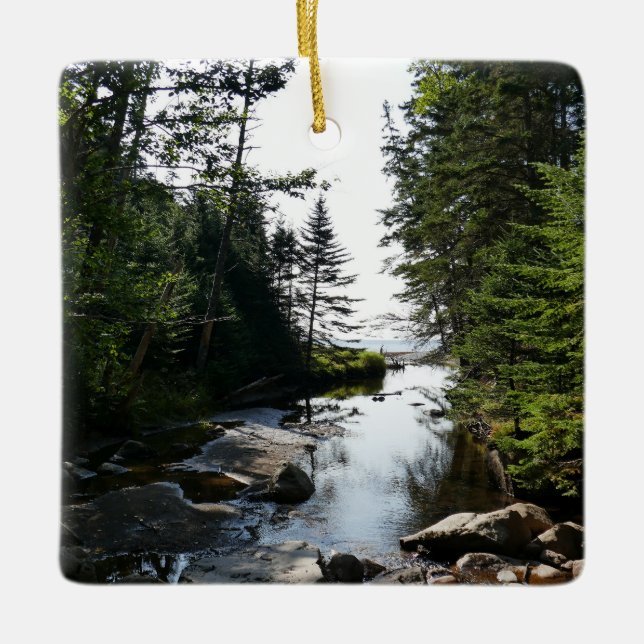 Forest near Hunters Beach at Acadia National Park Ceramic Ornament (Front)