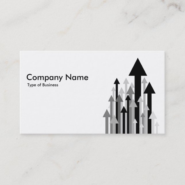 Forest of Arrows II - Black and White Business Card (Front)