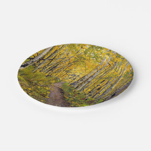 Forest of Aspen Trees Paper Plate