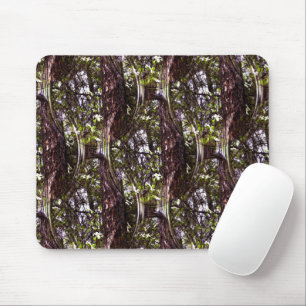 Forest of Dogwoods.... Mouse Pad
