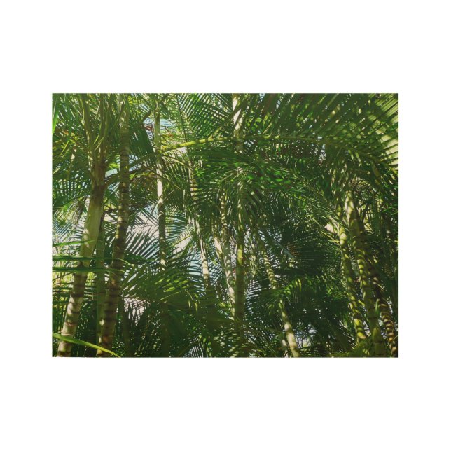 Forest of Palm Trees Tropical Green Wood Poster (Front)