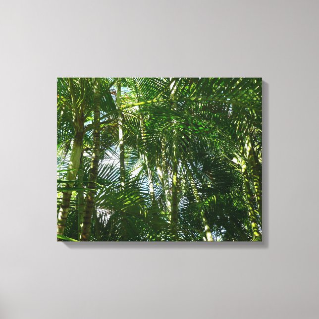 Forest of Palm Trees Tropical Nature Canvas Print (Front)