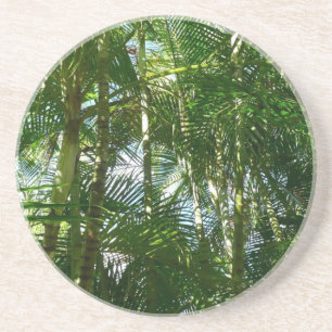 Forest of Palm Trees Tropical Nature Coaster