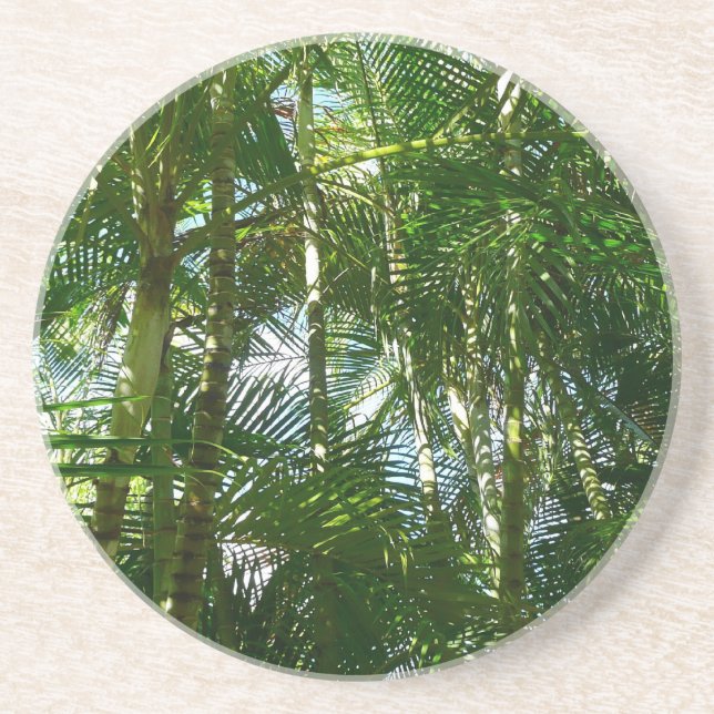 Forest of Palm Trees Tropical Nature Coaster (Front)