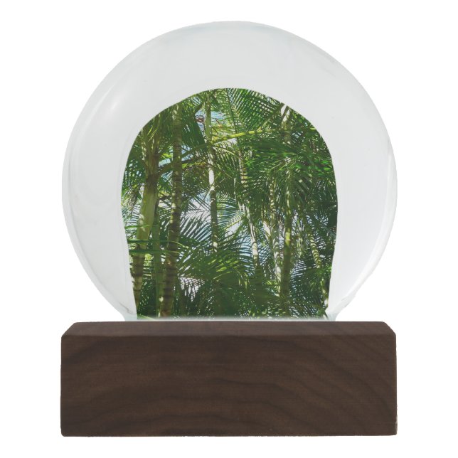 Forest of Palm Trees Tropical Nature Snow Globe (Front)