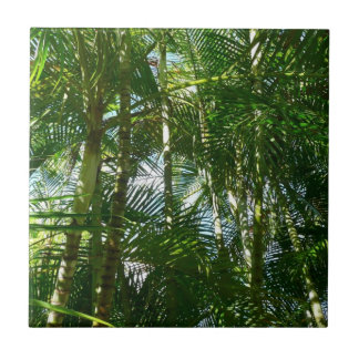 Forest of Palm Trees Tropical Nature Tile