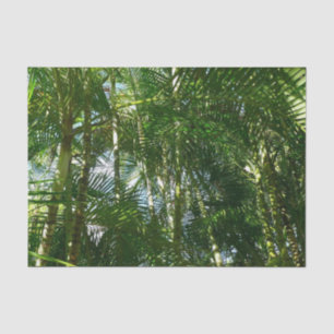 Forest of Palm Trees Tropical Nature Tissue Paper