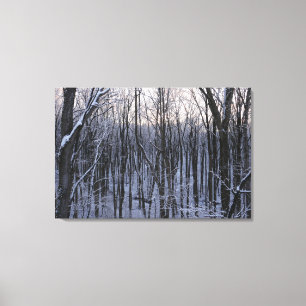 Forest of Snowy Trees Canvas Print