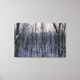 Forest of Snowy Trees Canvas Print