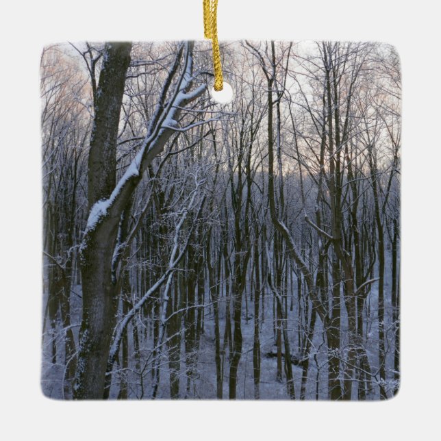 Forest of Snowy Trees Ceramic Ornament (Front)