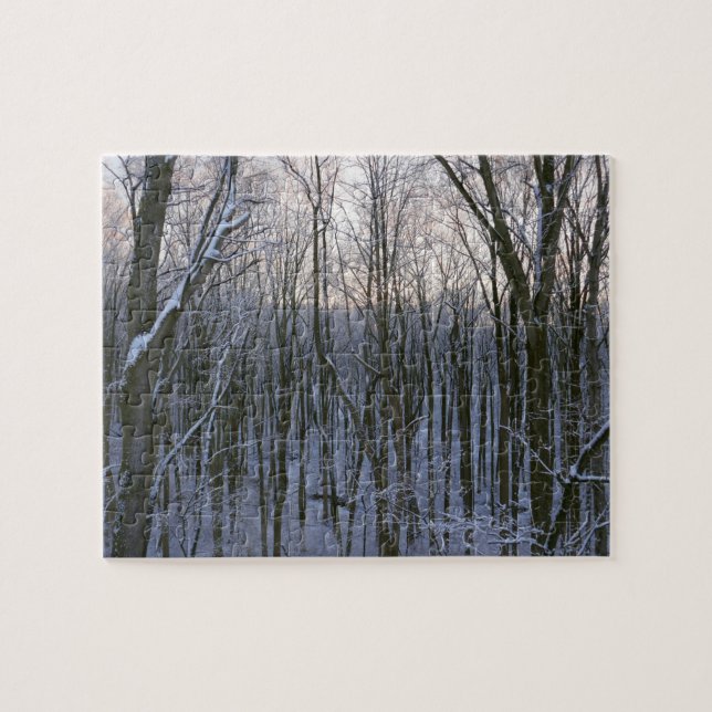 Forest of Snowy Trees Jigsaw Puzzle (Horizontal)