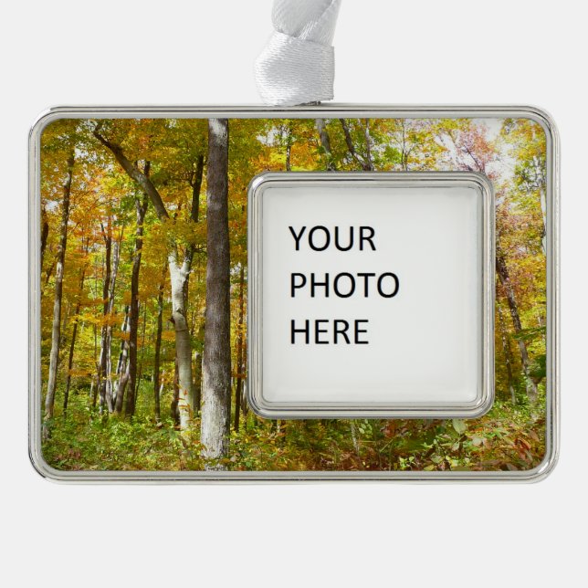 Forest of Yellow Leaves Autumn Landscape Silver Plated Framed Ornament (Front)