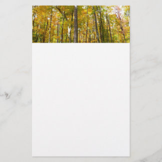 Forest of Yellow Leaves Autumn Landscape Stationery