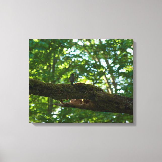 Forest Overpass Canvas Print (Front)