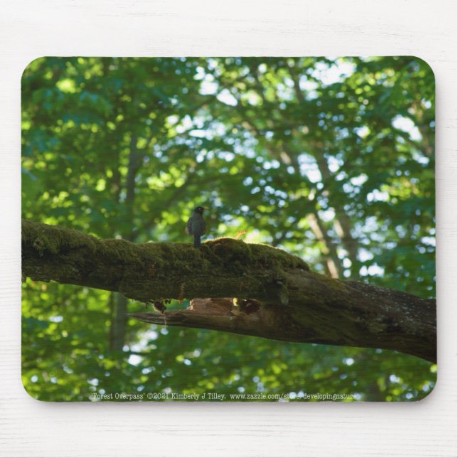 Forest Overpass Mousepad (Front)