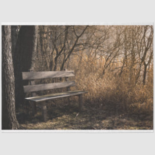 Forest Park Bench Decoupage  Tissue Paper