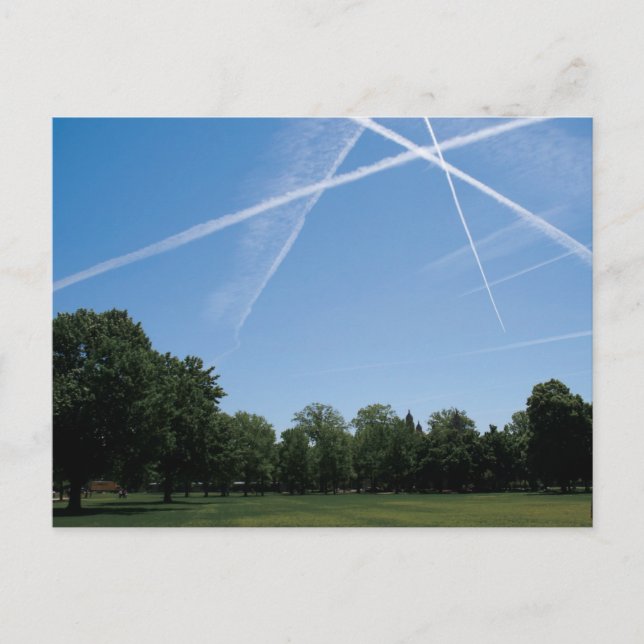 Forest Park Postcard (Front)