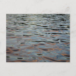 Forest Park Waterways Postcard