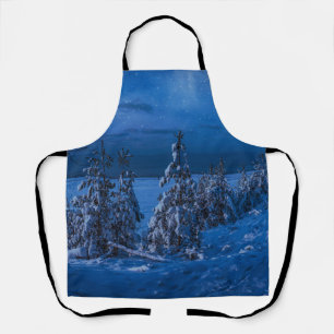 Forest path at winter night apron