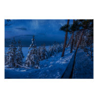 Forest path at winter night