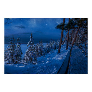Forest path at winter night poster