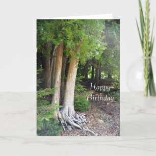 Forest Path Birthday Card