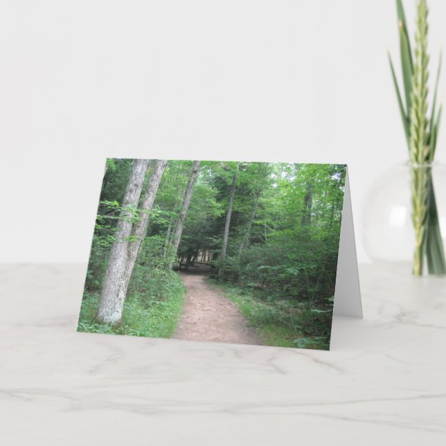 Forest Path Greeting Card (Front)