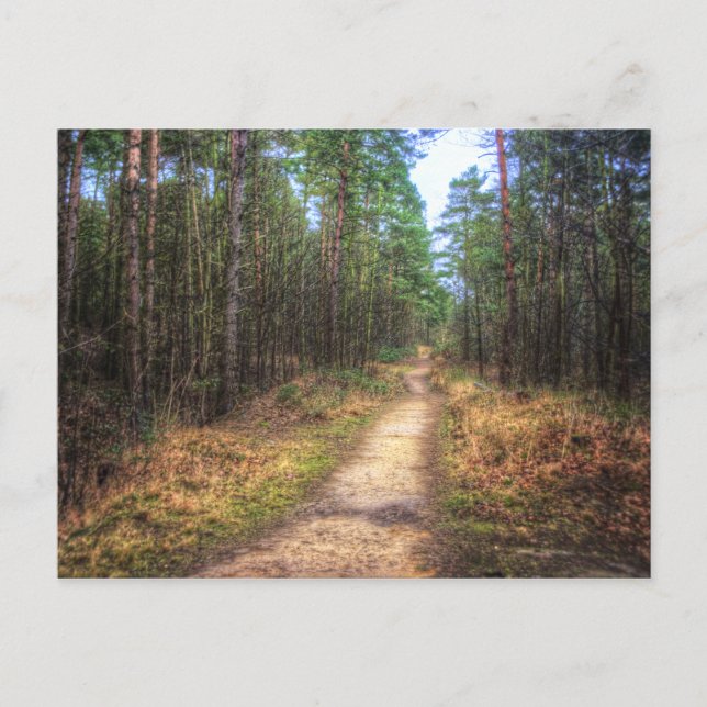 Forest Path HDR Art postcard (Front)