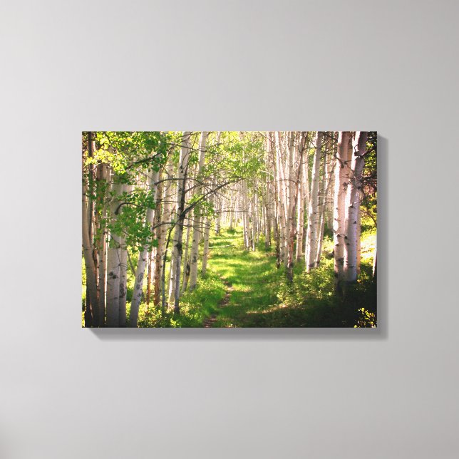 Forest Path in Late Spring Canvas Print (Front)