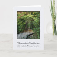 Forest Path In Sunbeams Sympathy
